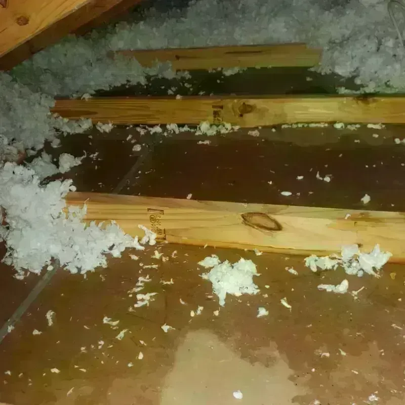 Attic Water Damage in Lincoln County, MN