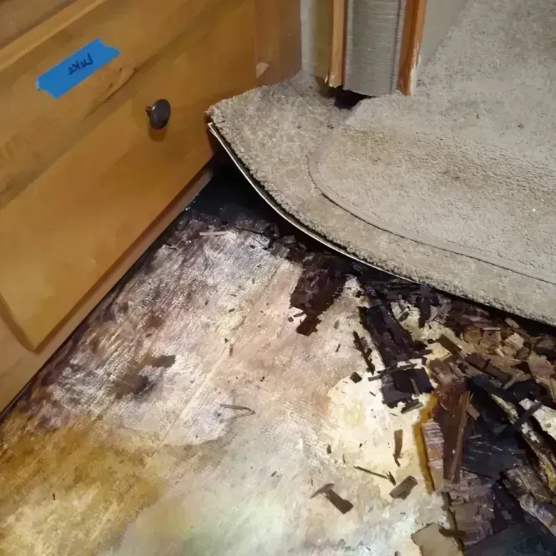 Wood Floor Water Damage in Lincoln County, MN